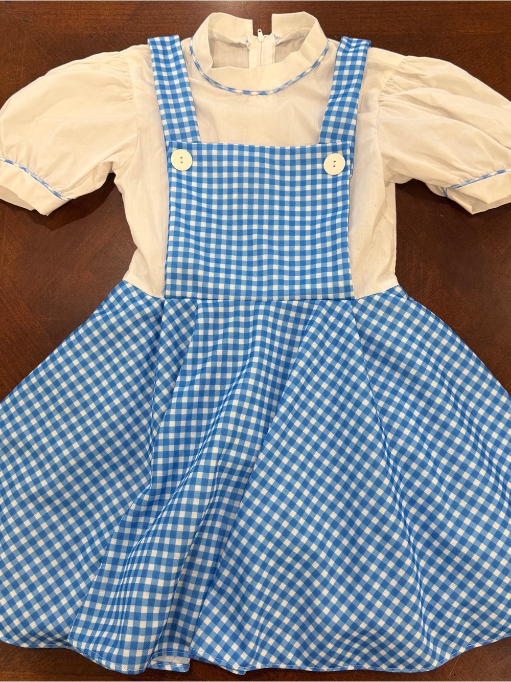 Wizard of Oz Dorothy Blue Gingham Pinafore Dress with Cream Blouse Costume. Sz M
